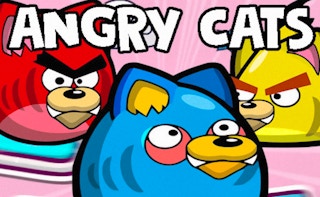 Image Angry Cats