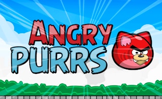 Image Angry Purrs
