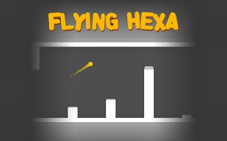 Image Flying Hexa
