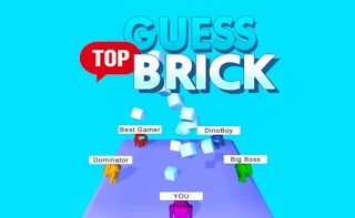 Image Guess Top Brick