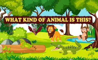 Image What Kind of Animal is This