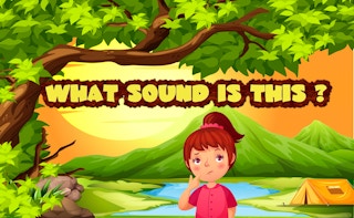 Image What sound is this?