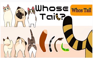 Image Whose Tail